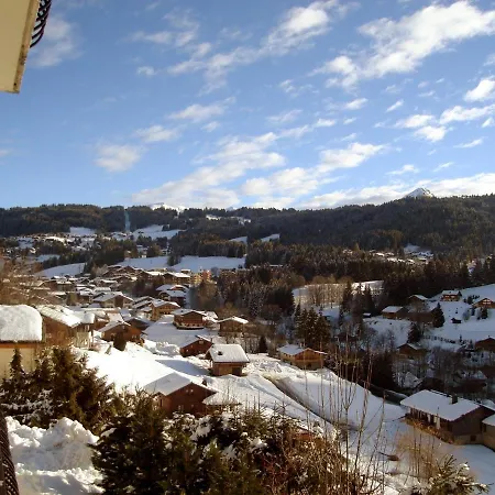 2 Avec Wi-fi, Parking Et Animaux Admis - Fr-1-671-228 * Les Gets